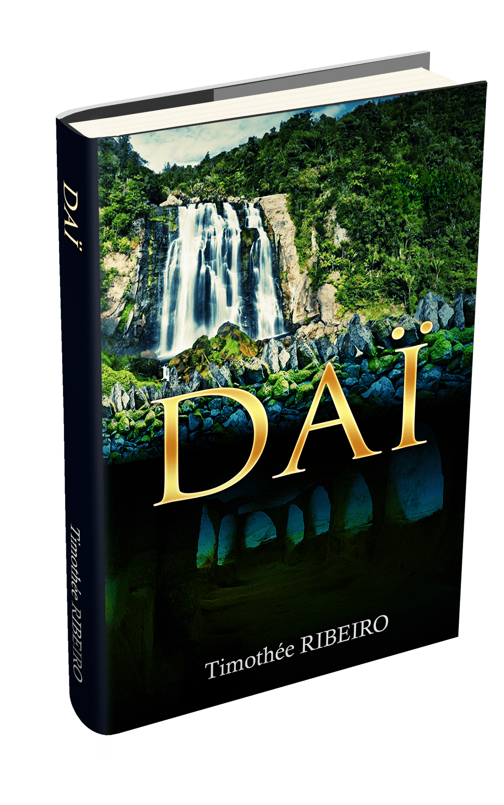 timothee book cover