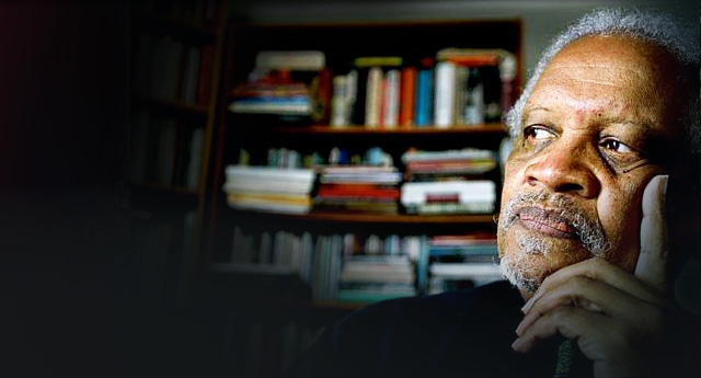 What is a&nbsp;Novel?