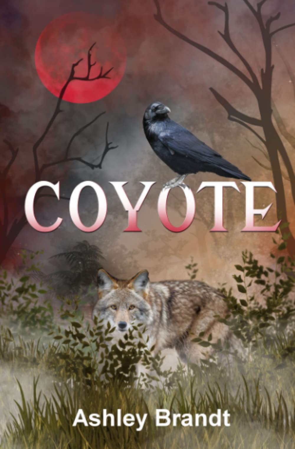 Coyote by Ashley&nbsp;Brandt