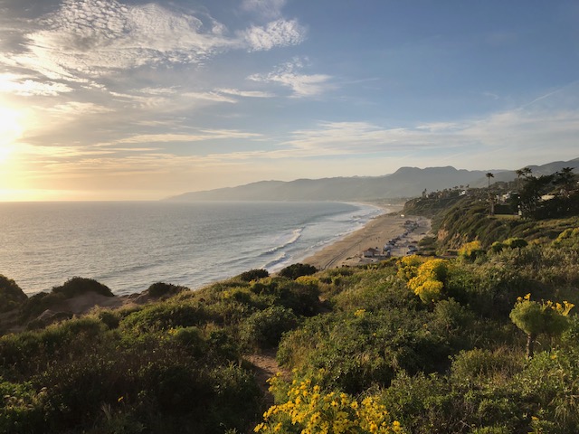 Crafting with the Current: My Journey to Becoming a Bestselling&nbsp;Author